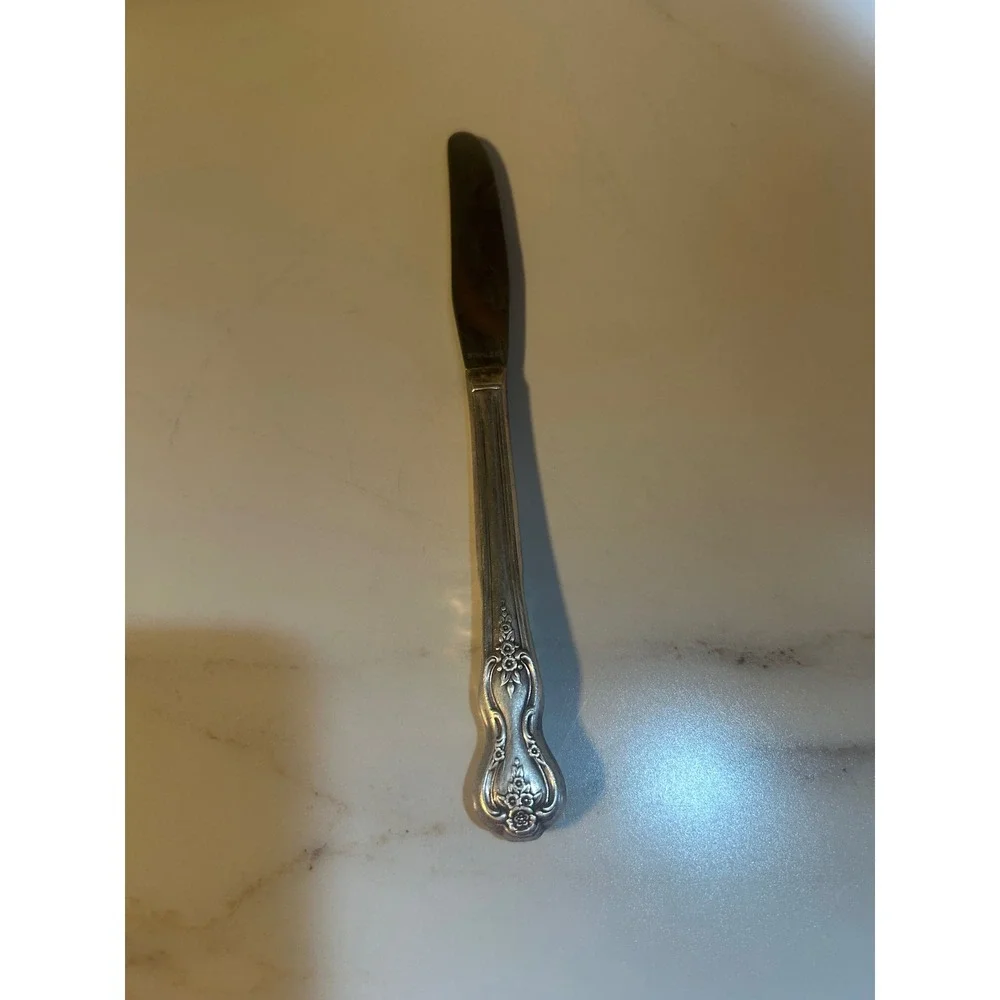 1847 Rogers Bros Springtime Silverplate Dinner Knife Stainless Blade IS 9.25in